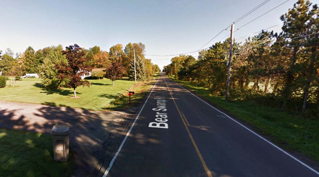 Family members said the object was not a helicopter and made no sound. Pictured: Williamson, New York. (Credit: Google)