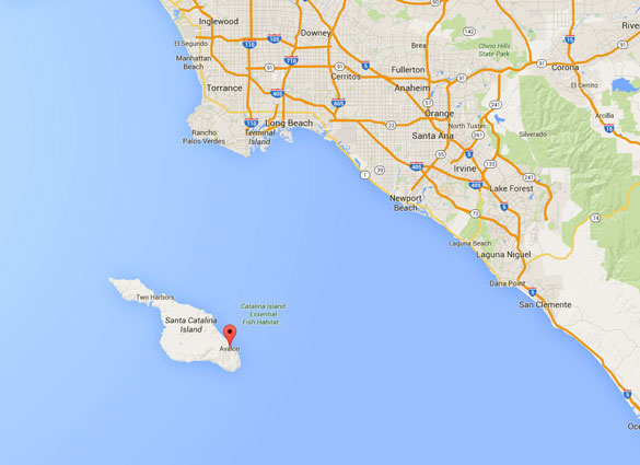 Avalon sits just off the California coast from Newport Beach. (Credit: Google Maps)