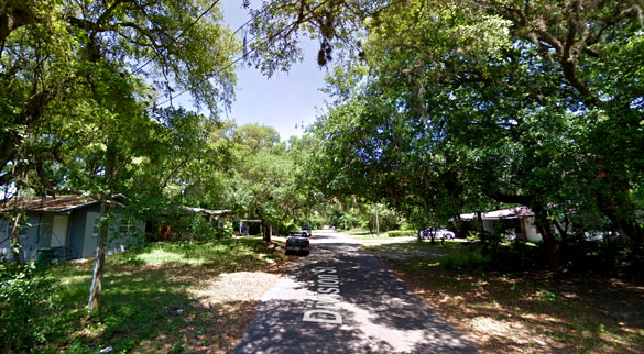 The creature then backtracked, and went back the same it had come. Pictured: Fernandina Beach, FL. (Credit: Google)