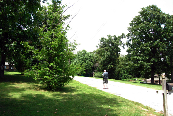 Investigators took readings at the original area, pictured, where the sighting occurred. (Credit: MUFON)