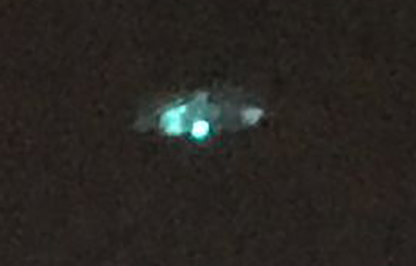 Cropped and enlarged Witness Image 3. (Credit: MUFON)