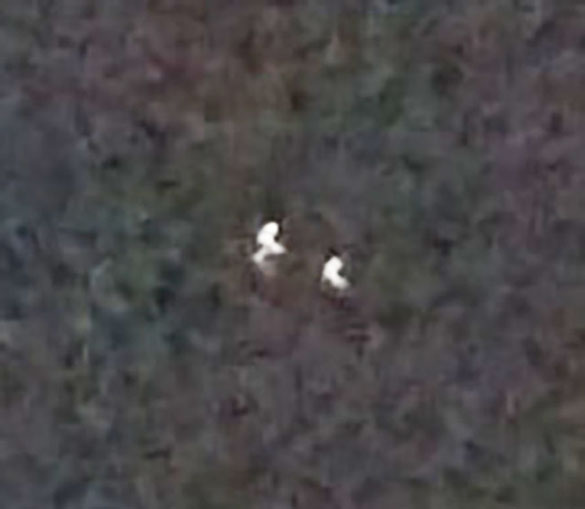 Cropped and enlarged version of witness image 2. (Credit: MUFON)