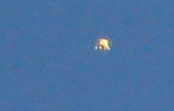 Cropped and enlarged version of Witness Image #5. (Credit: MUFON)