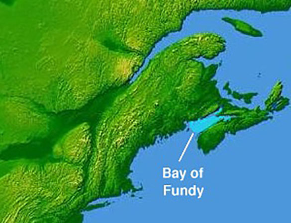 Bay of Fundy (Credit: Google)
